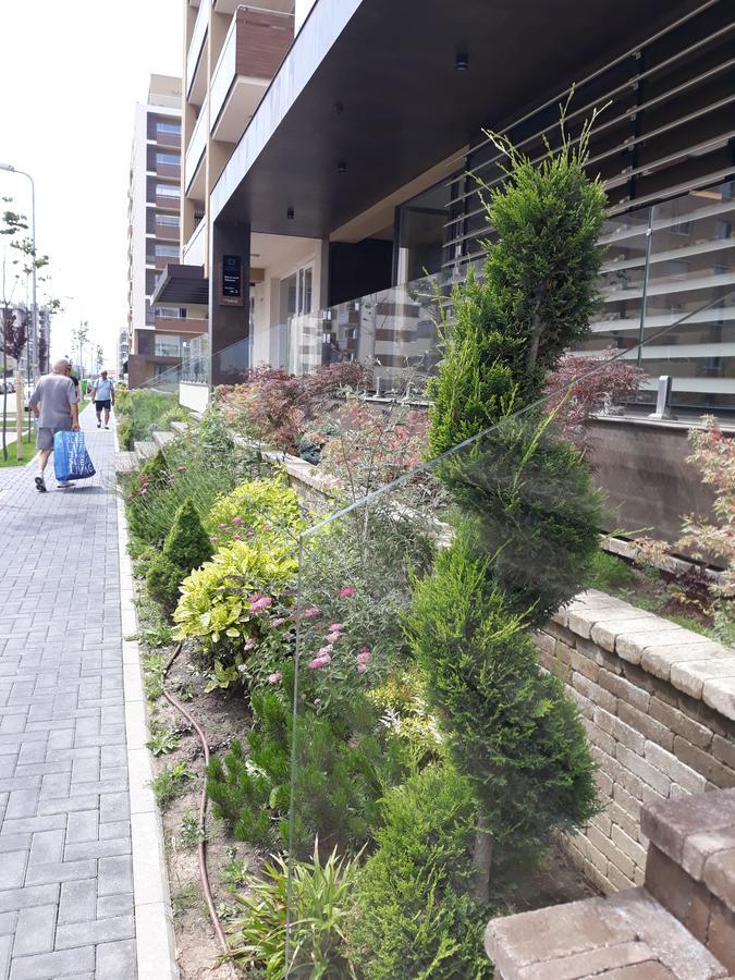 Sweet Garden Residence Braşov Exterior foto